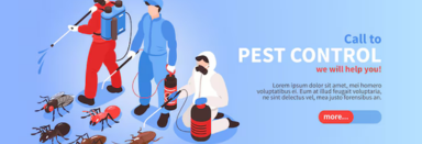 Pest Control উপদ্রক নিয়ন্ত্রক