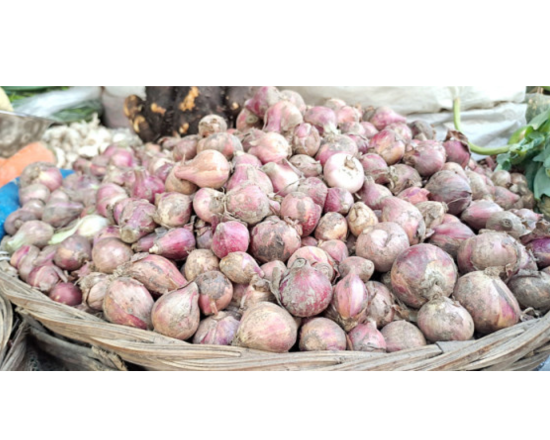 New Deshi onion - Notun Deshi piaj - নতুন দেশি পেঁয়াজ