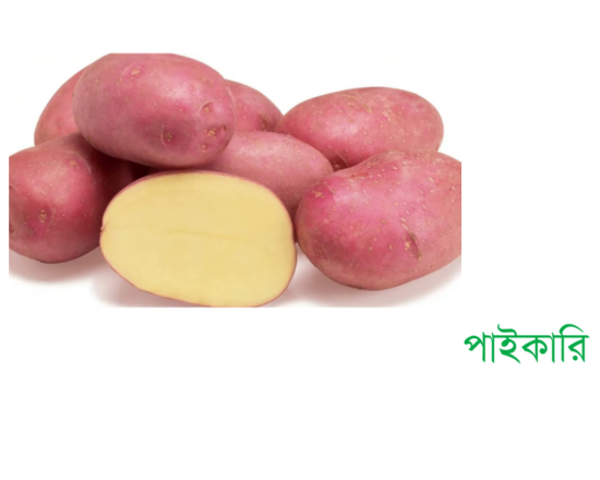 A. Potato Cardinal-Alu কারডিনাল আলু