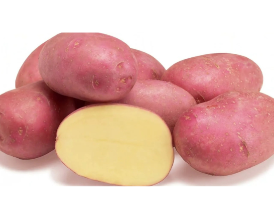 A. Potato Cardinal-Alu কারডিনাল আলু