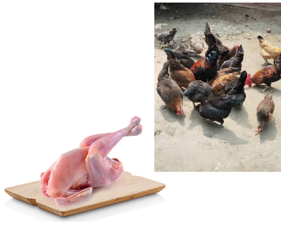 Hen deshi  দেশি মুরগী ,-
